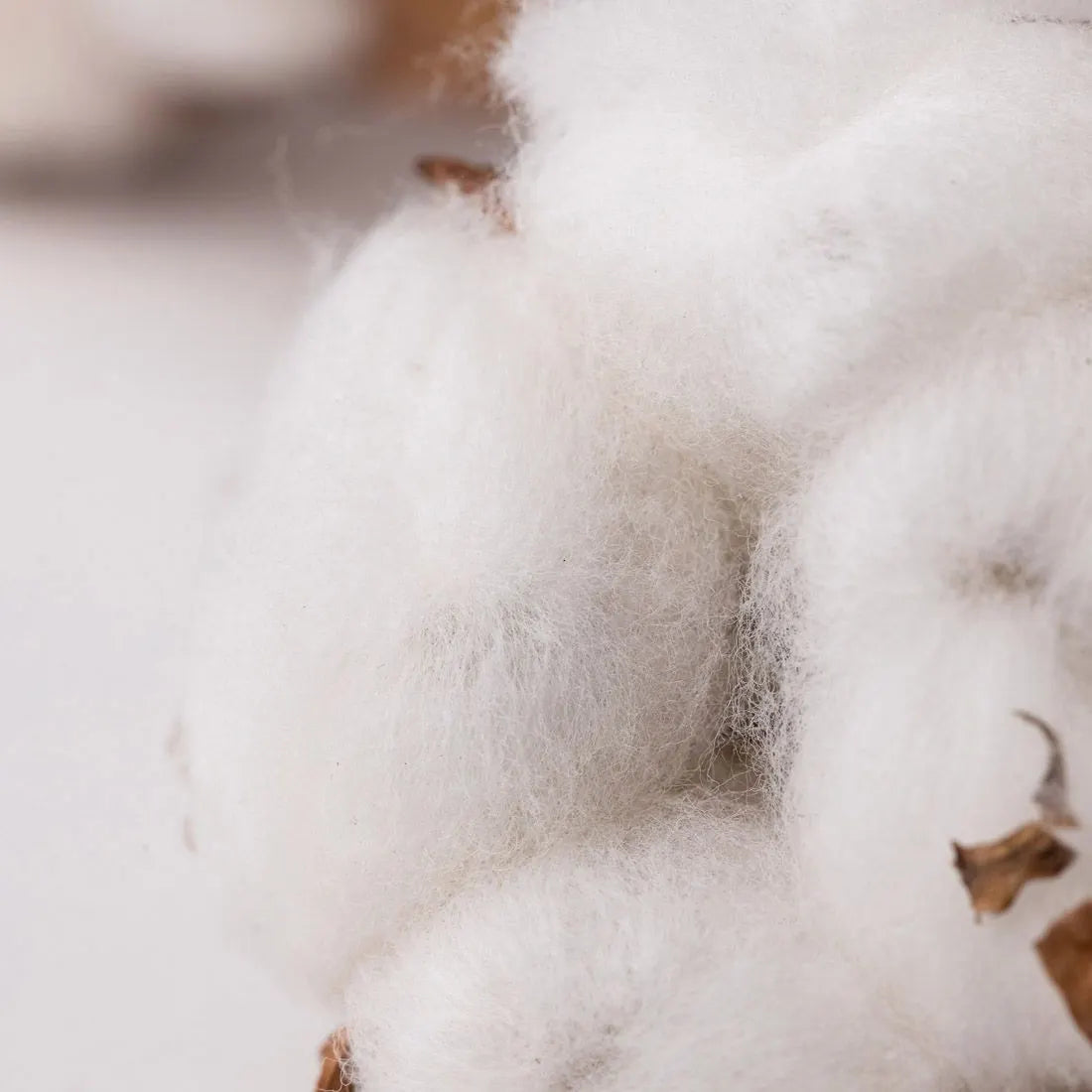 Dust+Cream aromatický difuzér White Cotton 100ml