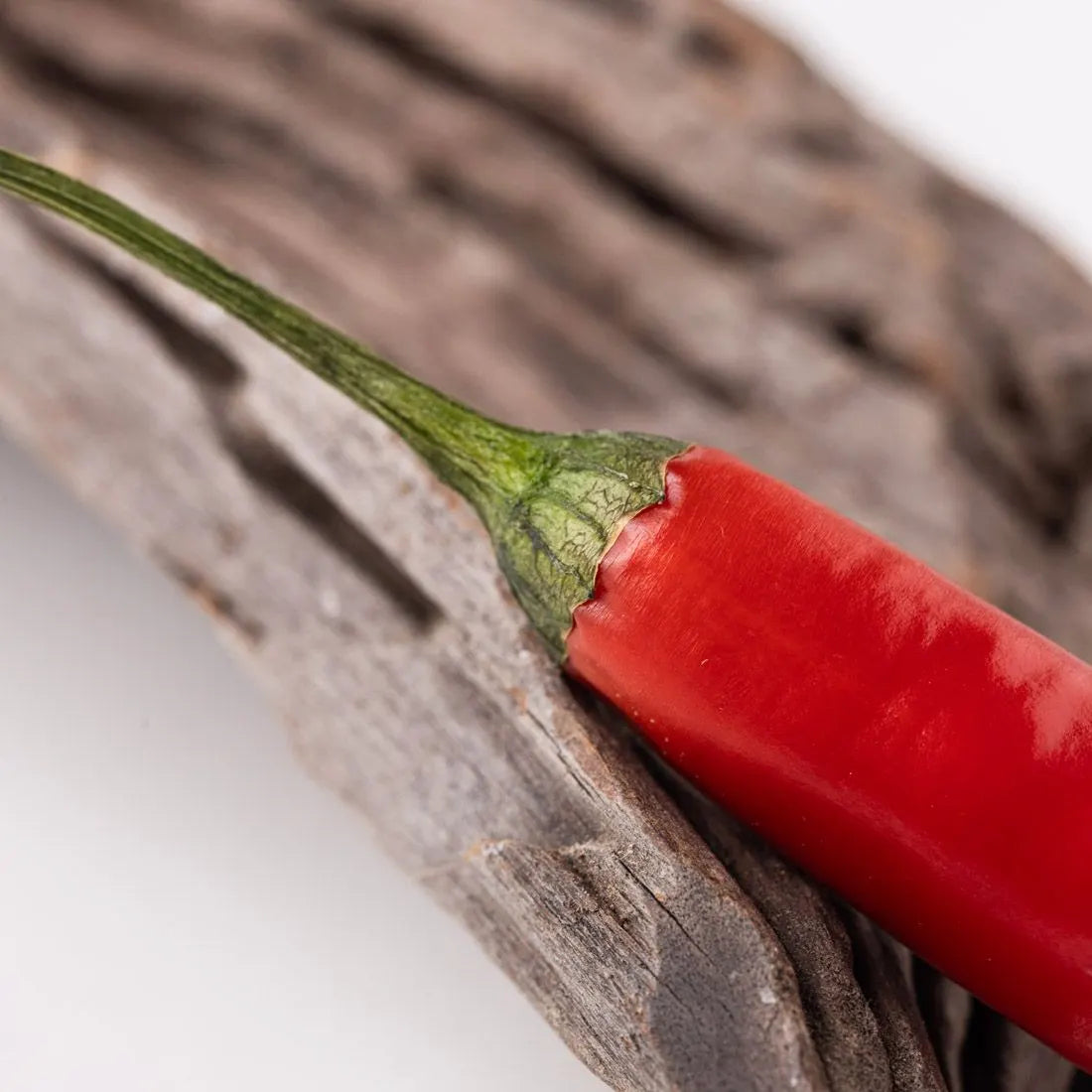 Dust+Cream aromatický difuzér Spicy Woods 100ml